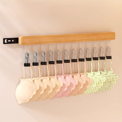 Retractable Hanger (8 Clips)