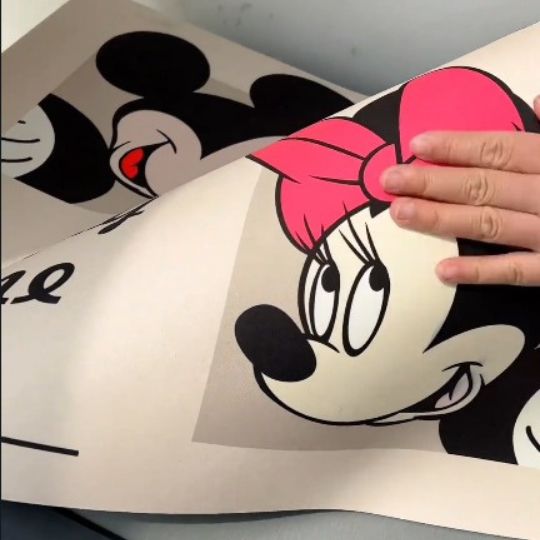 Washing Machine Mat (Mickey)